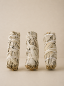 California White Sage Smudge Stick — 4"