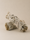 California White Sage Smudge Stick — 4"
