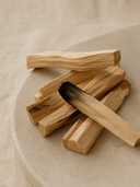 Palo Santo Stick — Sacred Cleansing Wood